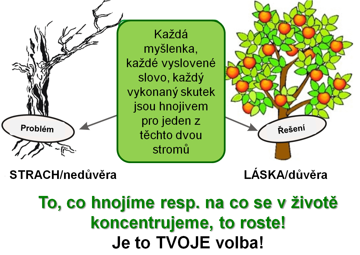 skolka