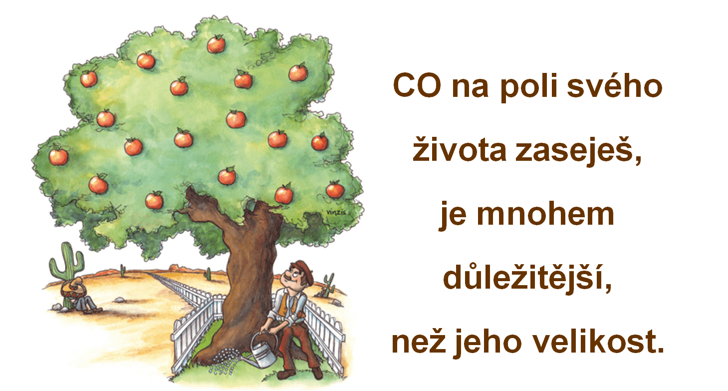 Pole života